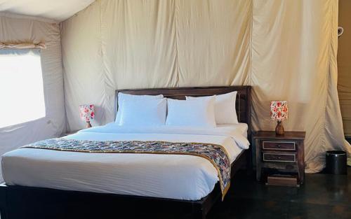 tent-5