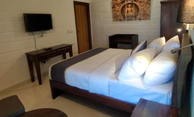Superior queen room mountain view