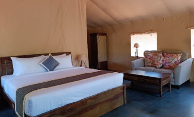 Premium Tents