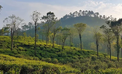 Planning the Perfect Coorg Getaway: How Many Days Are Enough?