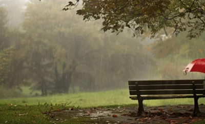 Misty Trails & Cosy Stays: Romantic Retreats in Coorg This Monsoon