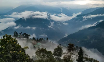 Coorg Cuisine: A Culinary Guide To Coorg’s Flavours