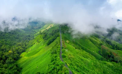Chikmagalur's Scenic Drives: Routes You Shouldn’t Miss