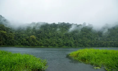 Why Coorg is a Must-Visit During the Monsoons