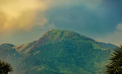 Wandering Off the Madikeri Grid