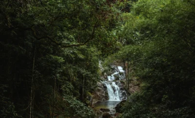 Coorg Waterfalls: Best Falls and Hidden Spots