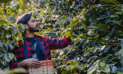 Exploring the Coffee Culture of Chikmagalur