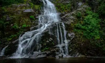 Why Shanti Falls Chikmagalur Appeals to Nature Lovers More Than Crowds
