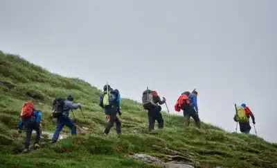 What Makes the Z Point Trek Ideal for Beginners