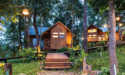 Stay in Coorg: Resorts vs Homestays, What Works Better?