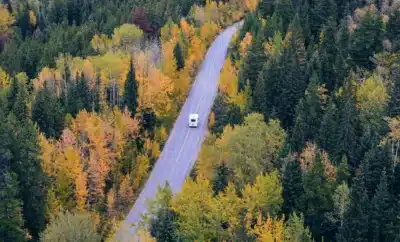 Chikmagalur Weekend Trip from Bangalore Complete Guide