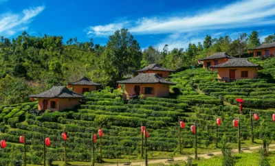 Coorg or Ooty: Which Hill Station Should You Choose for Your Next Getaway?