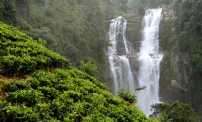 Is Coorg Expensive? A Complete Guide to Budget vs Luxury Travel in the Scotland of India