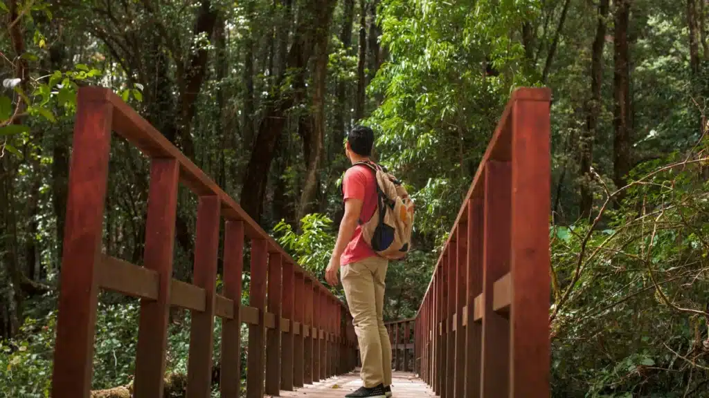 the Best Time to Visit Chikmagalur