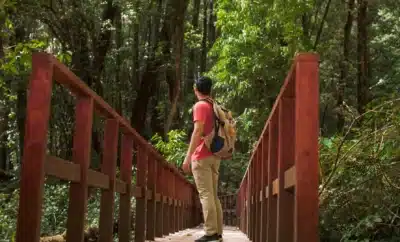 When Is the Best Time to Visit Chikmagalur? A Month-By-Month Guide