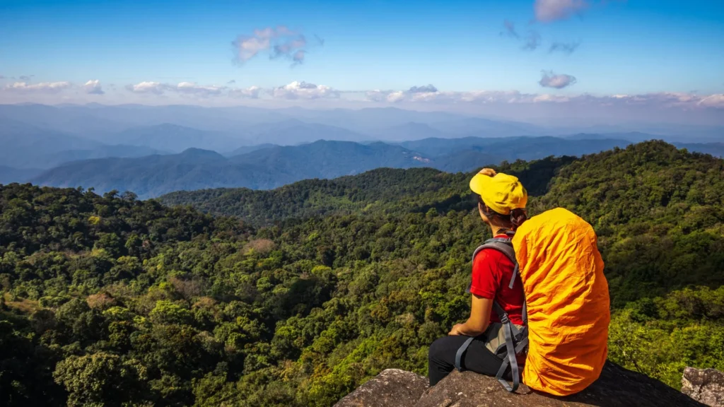 Chikmagalur Views and Treks