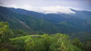 Western Ghats Around Coorg