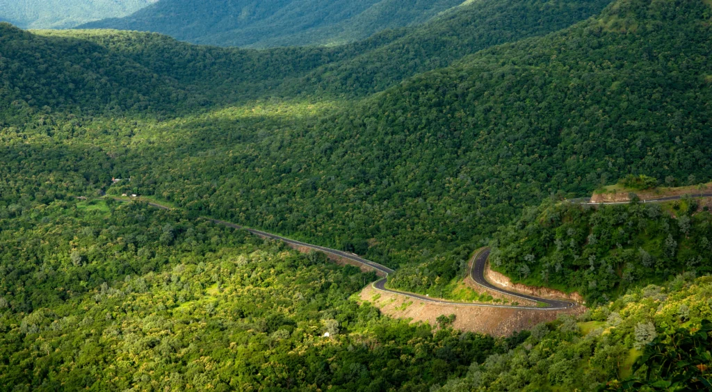 aerial-view-winding-road-scenic-green-mountains