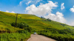 Scenic winding road through lush green hills in Coorg under a bright blue sky with white clouds, creating a peaceful vacation landscape.