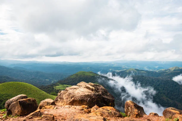 Remote worker enjoying a laptop session with scenic coffee plantations and hills in Chikmagalur, Karnataka.