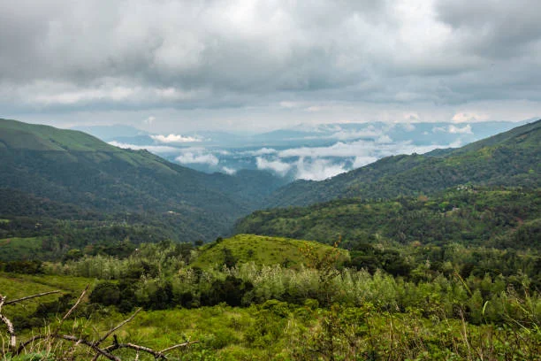 Luxury resort overlooking coffee plantations and green hills in Chikmagalur