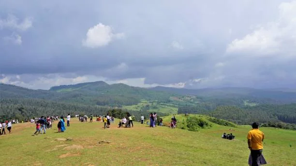 Scenic view of Coorg coffee plantations and misty hills ideal for a peaceful short break