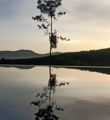 coffeeberryhills-4 (1)